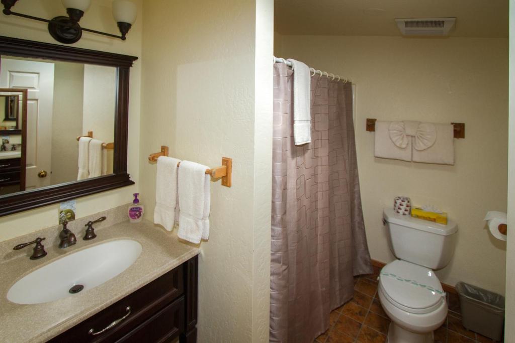 Popular attractions Area Nearby Property